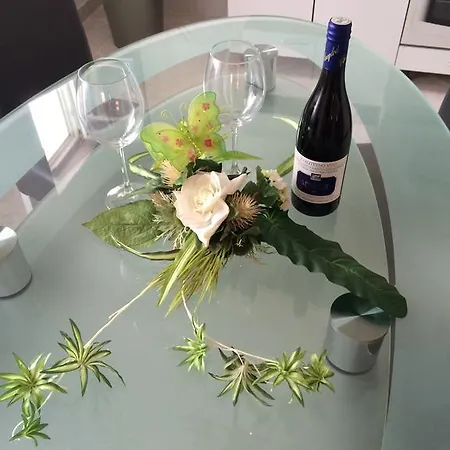 T&j Apartament *